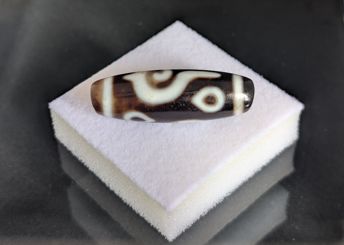 Antique Four-Eye Conch Dzi