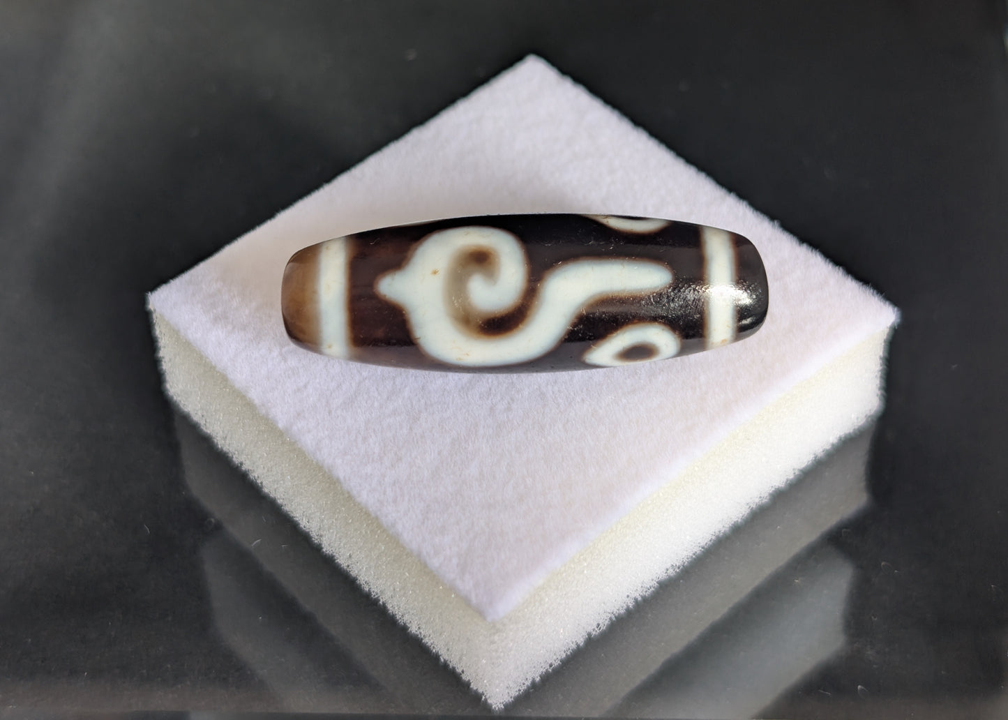 Antique Four-Eye Conch Dzi